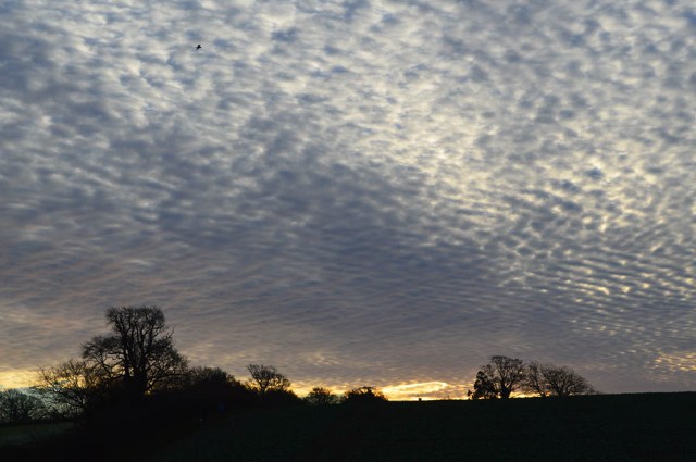 SUNRISE WITH MACKEREL CLOUDS