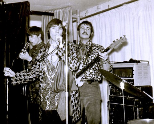 3. NERVOUS SYSTEM AT 5 ACRES