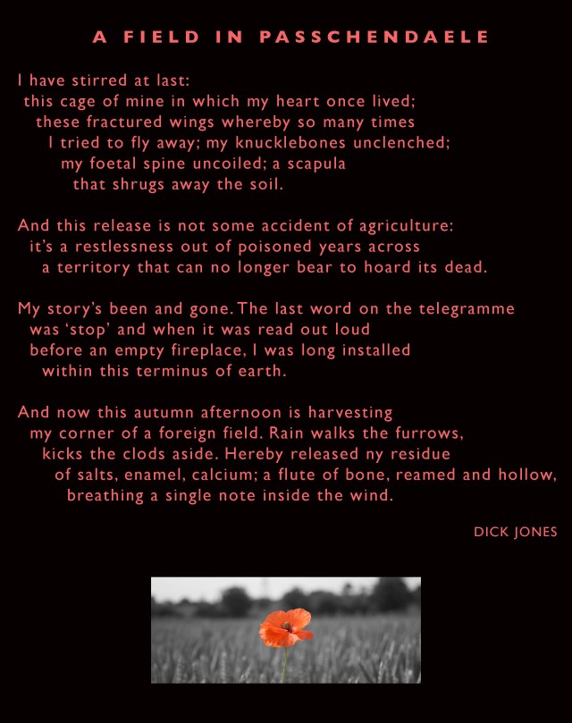 A FIELD IN PASSCHENDAELE