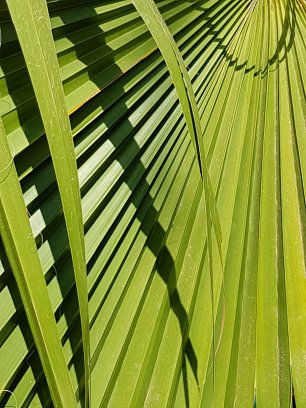 37798986_10160263878920538_4543018034054299648_o 2