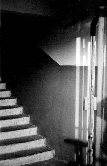 6a00d83451947569e20105349455e9970b-pi