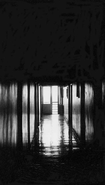 6a00d83451947569e20105349b6997970c-pi