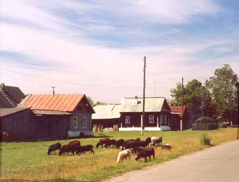 6a00d83451947569e2010534a80d5e970c-pi