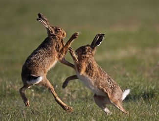 ff9010104dea1d60c8e9ce4ad67f704c