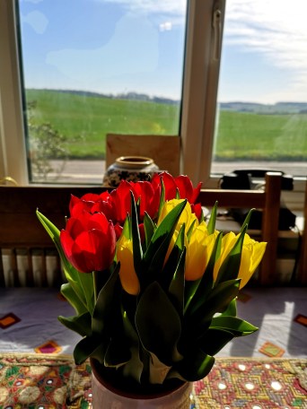 IMG_20200322_125553_resized_20200322_125705860