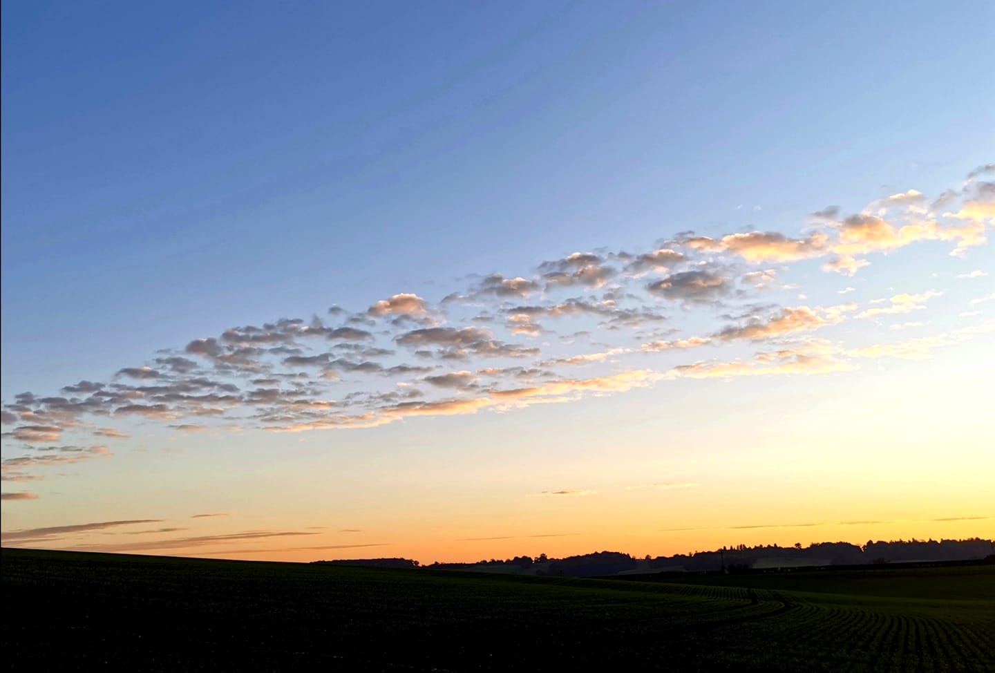 131464116_10163968327390538_6974253131846889582_o