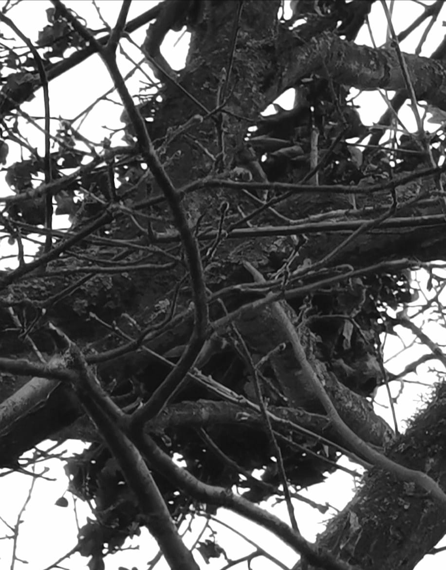 132012768_10163975508465538_8841138683618444875_o